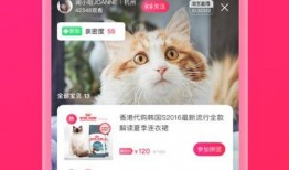 爆料海参直播视频下载,视频下载背后的秘密与商机